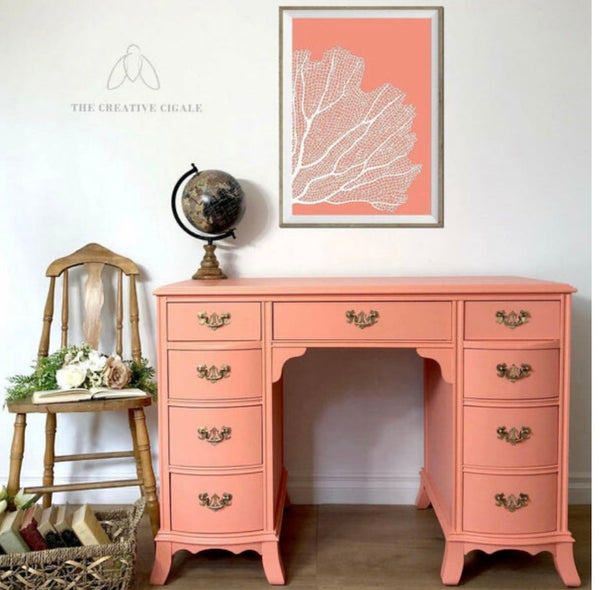 Coral Fusion Mineral Paint