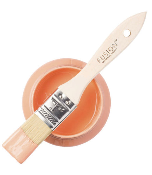Coral Fusion Mineral Paint