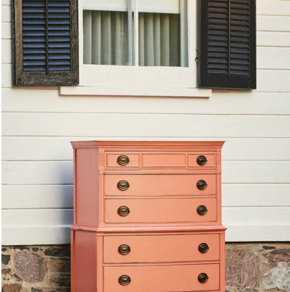 Coral Fusion Mineral Paint