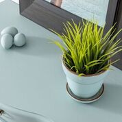 French Eggshell Fusion Mineral Paint