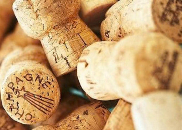 100 Champagne Prosecco Cava Corks Craft Upcycle Decorative Display